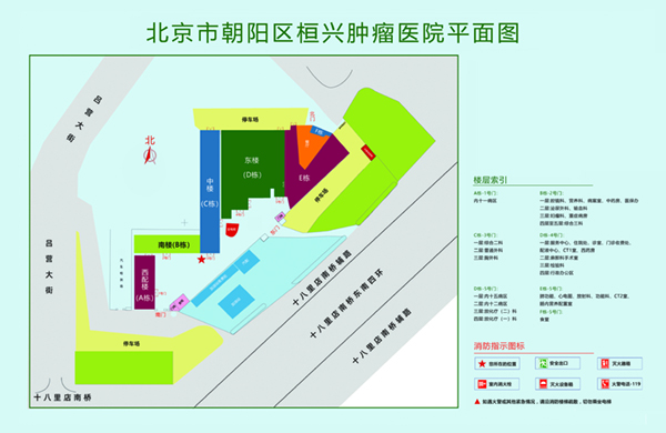 摸逼毛视频北京市朝阳区桓兴肿瘤医院平面图